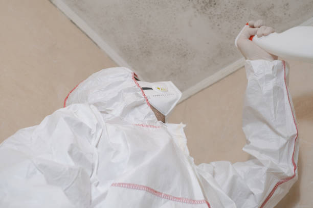 Best Emergency Mold Remediation in Chardon, OH